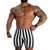 1-inch Retro Stripe Bodybuilding Spandex Shorts