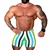 1-inch Stripe Bodybuilding Spandex Shorts - Multi Green