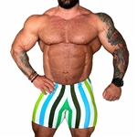 1-inch Stripe Bodybuilding Spandex Shorts - Multi Green